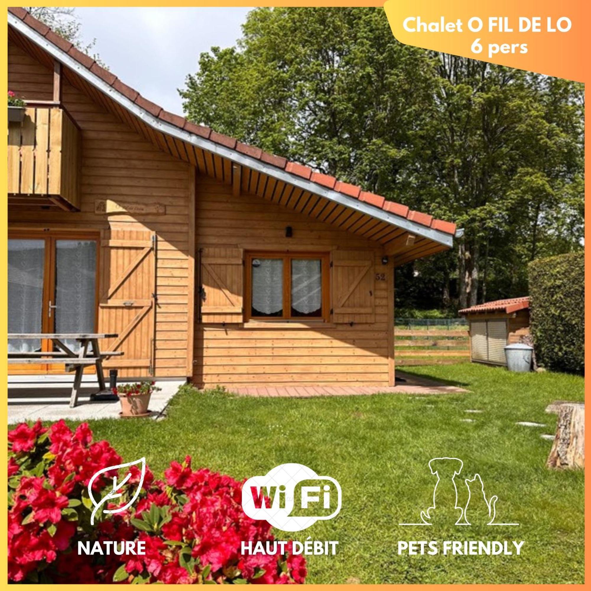 Chalet O Fil De Lo - Wifi, Bbq, Parking Xonrupt-Longemer Luaran gambar